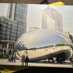 Chicago Bean Canvas Painting 