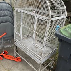 Bird Cage 