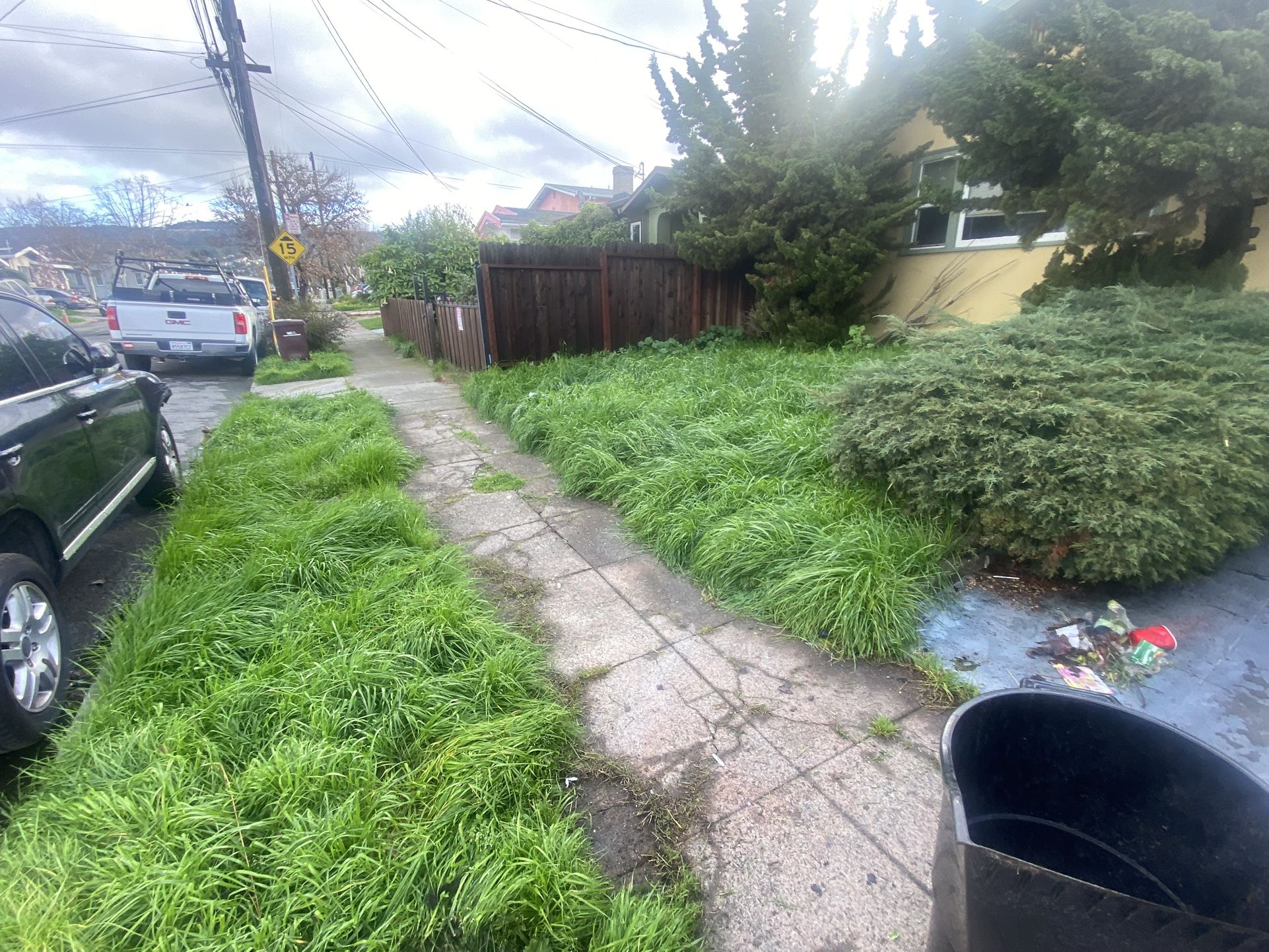 Yard Cleaning Any Size