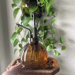 Glass mist plant spray bottle