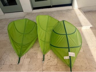 Kaplan early leaf canopy
