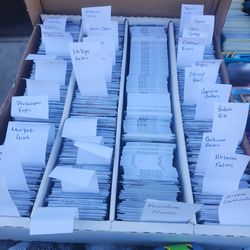 Pokemon, Disney, and multisport card