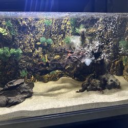 40 Gallon Acrylic Aquarium with 3D Background, Filter & Heater