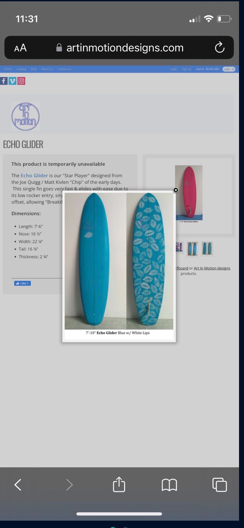 Surfboard (fun board) 