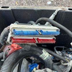 V8 Silverado / Sierra Engine Harness 