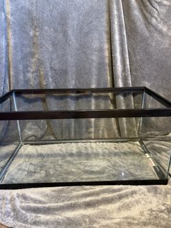 Critter Tank/Reptile Terrarium