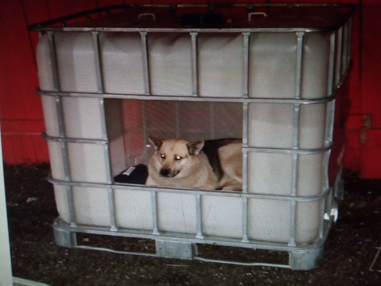 Dog house from tote