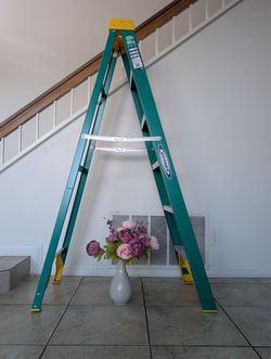 Werner FS206 6 ft Fiberglass Step Ladder — 225 lb, Great Condition