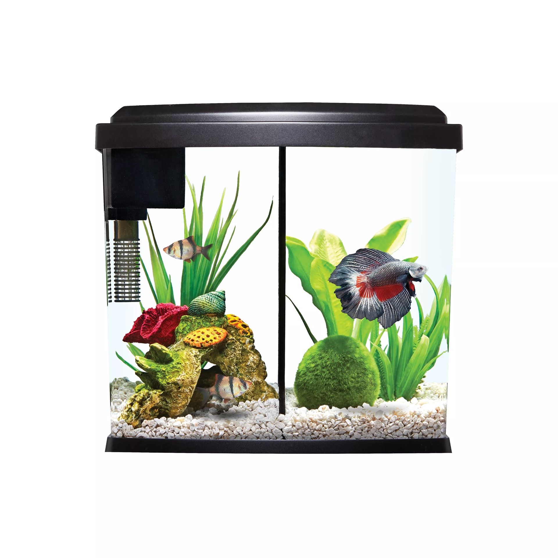 5 Gal Tank With Divider
