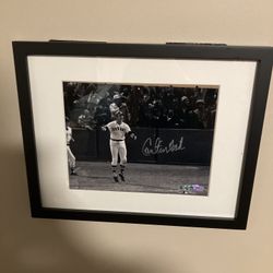 Framed 8x10 Carlton Fisk Authenticated Signed Photo