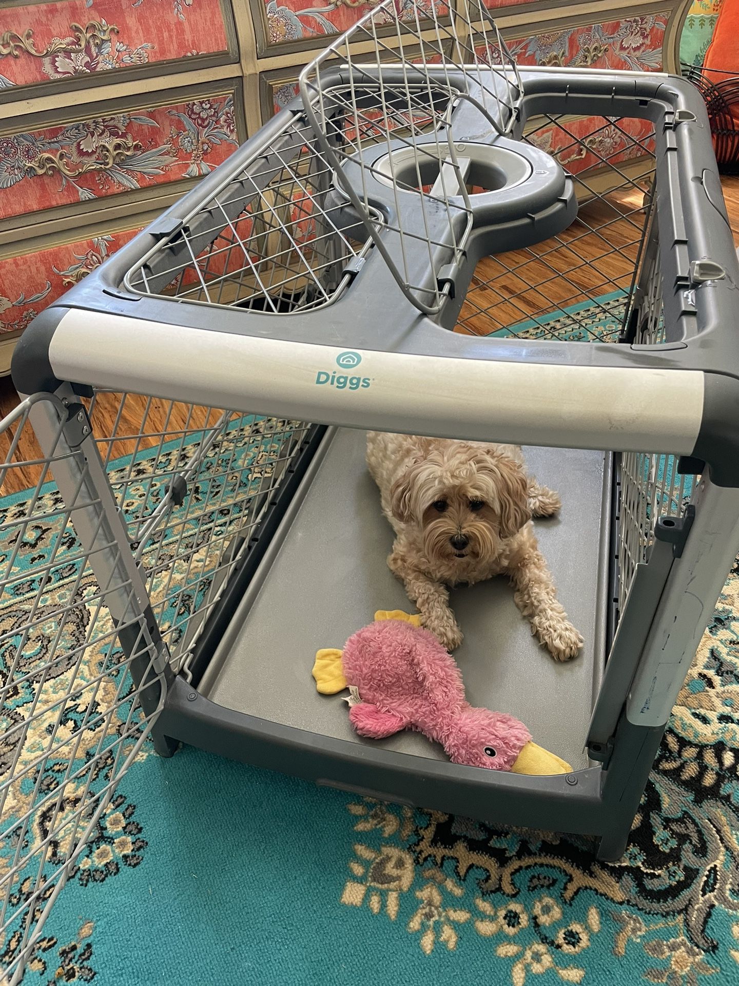 Diggs Revol Dog Crate