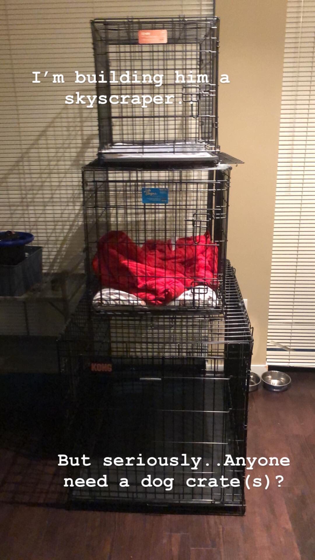Dog Crate(s) - 30" X 21" and 24" X 18"