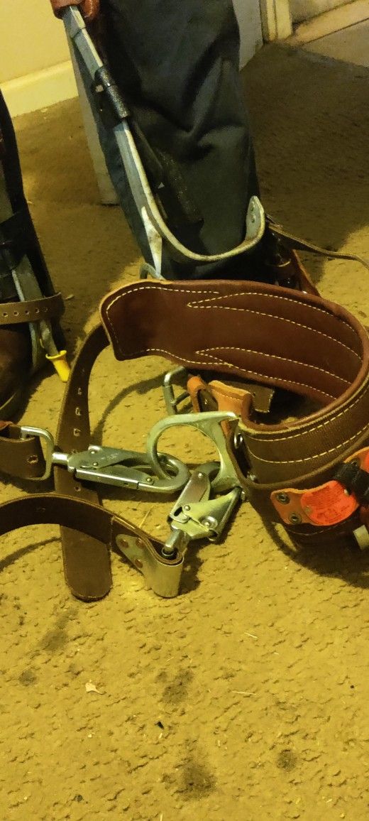 Tree Climbing Spikes With Belt