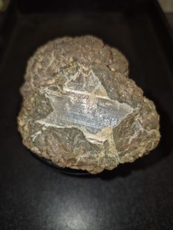 🪨⭐️SALE🪨⭐️THUNDER EGG w/ Star-Shaped Opal