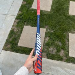 Easton “Hammer” Youth Baseball Bat.