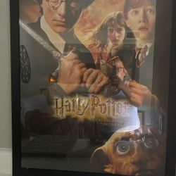 Harry Potter with Frames