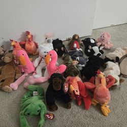 Beanie babies 