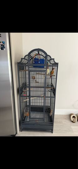Big bird parrot cage