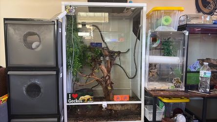 Nice tall cage