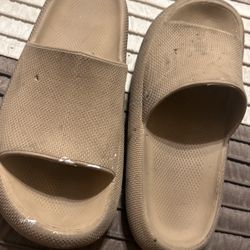 Tan Slides