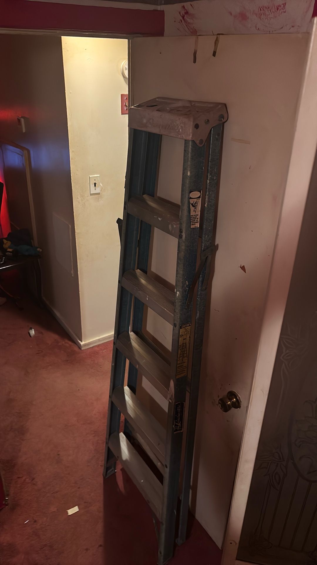 5 foot ladder