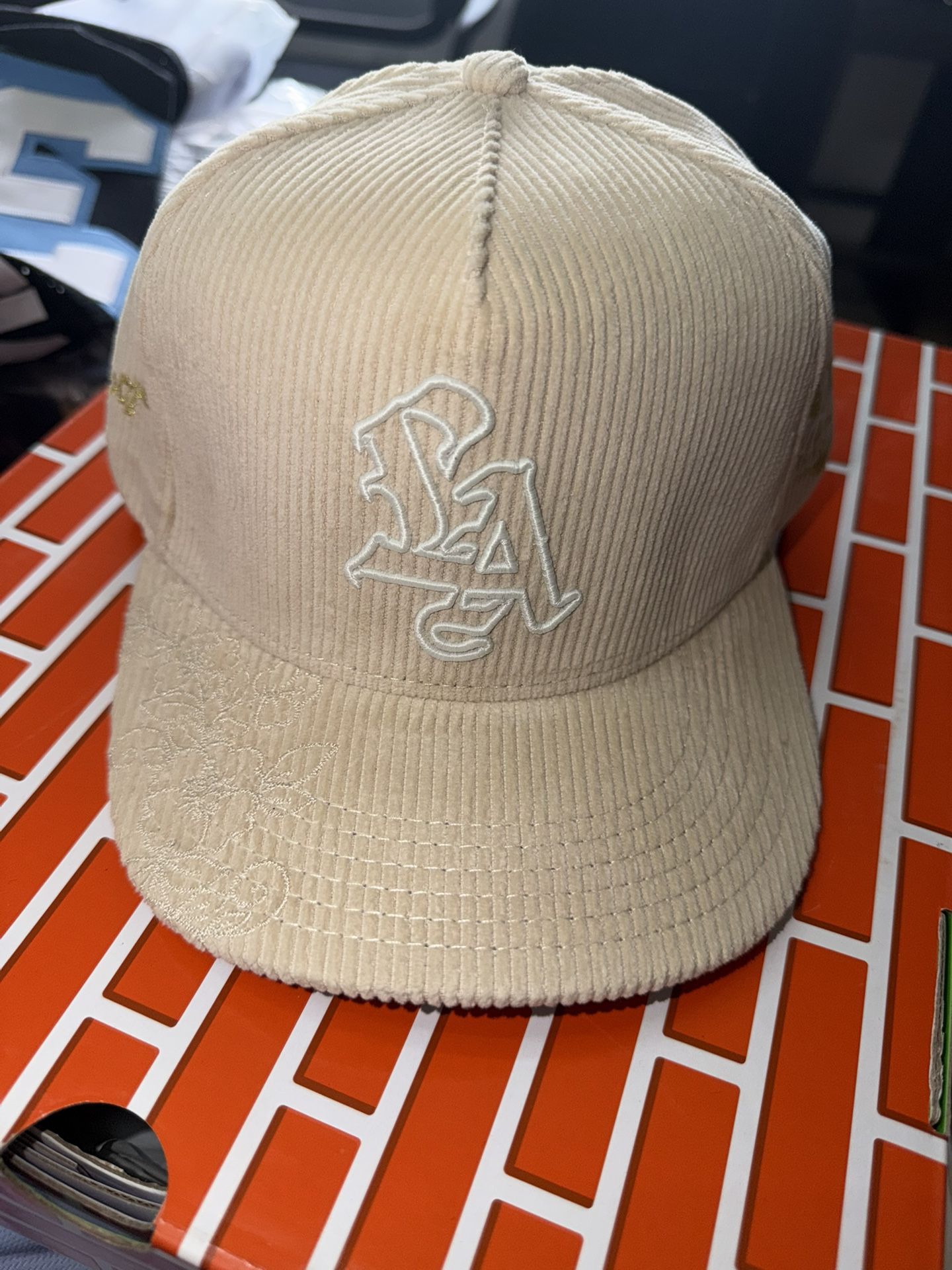 🔥DVNIEL LUU / LA SNAP BACK🔥