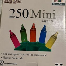 Christmas Lights 250ct