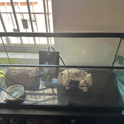 Lizard Tank And Supplies 