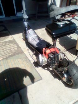 Adult scooter