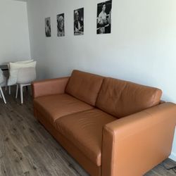 IKEA Finnalla Sleeper Sofa