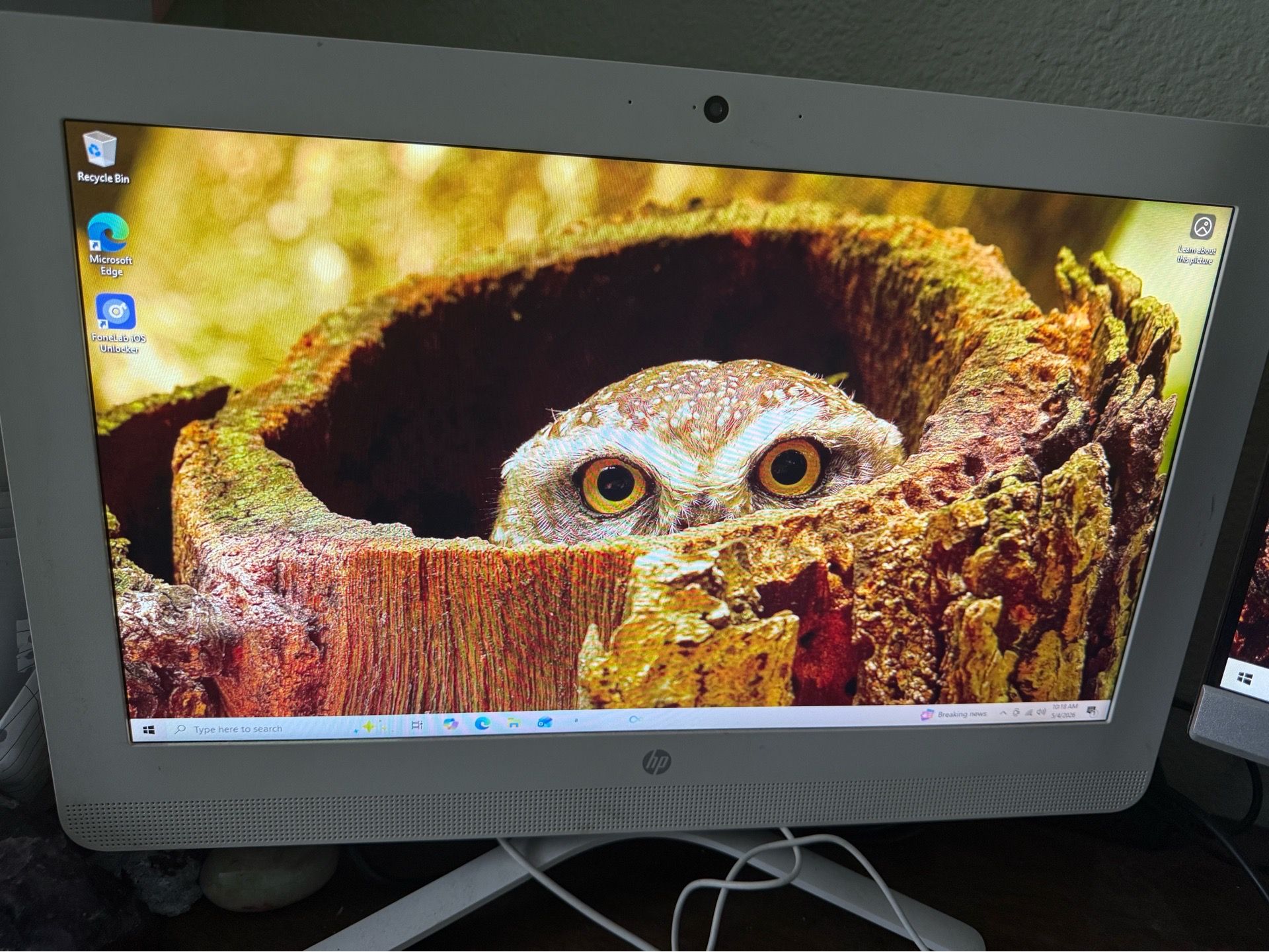 HP all in one computer
