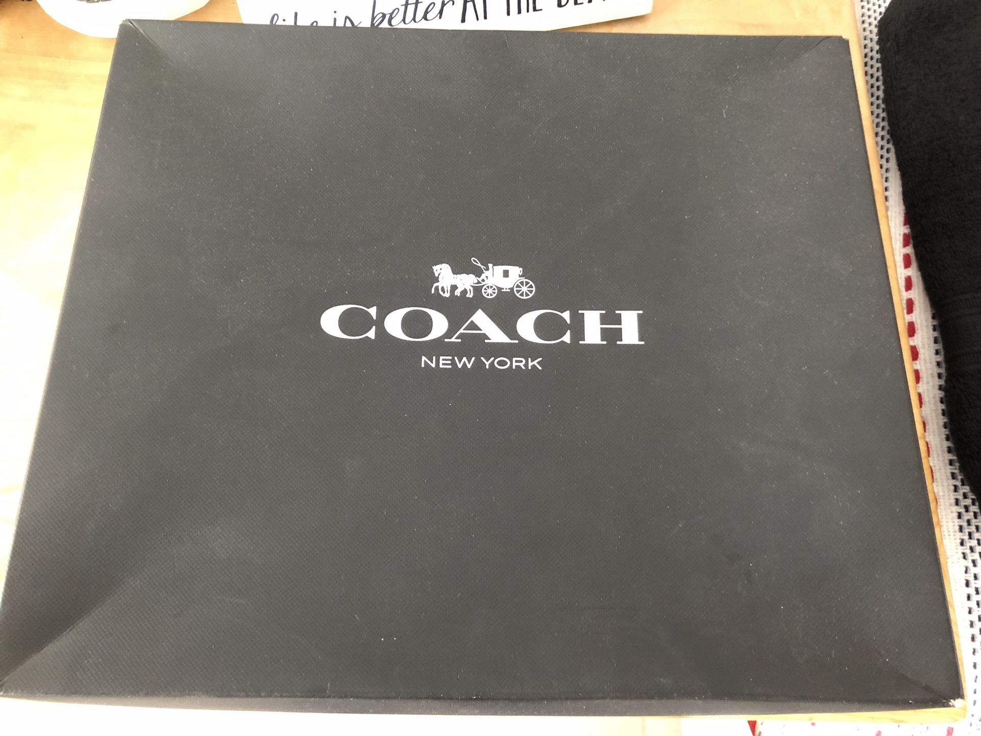 Coach X Tom Wesselmann Swinger 20