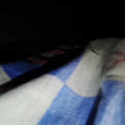 ASUS ROG Strix GeForce RTX 4090 OC Edition Gaming Graphics Card