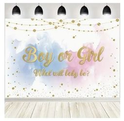 Baby Gender Reveal Back Drop