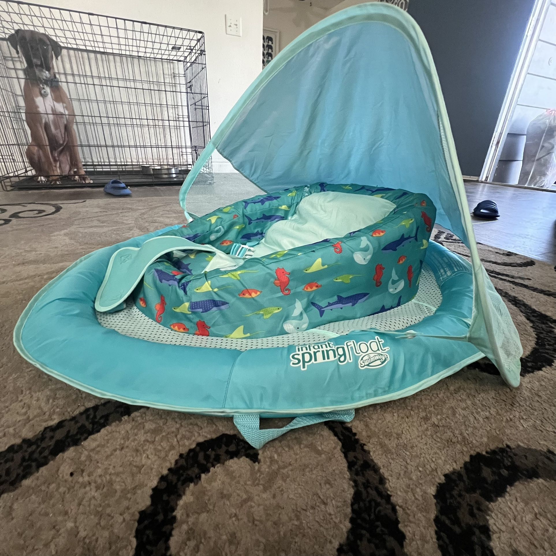 Infant Spring Float