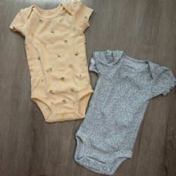 Newborn Baby Girl Carterâs Bodysuit 2-Pack