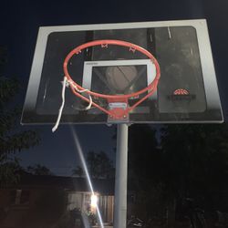 Lifetime Basketball Hoop 