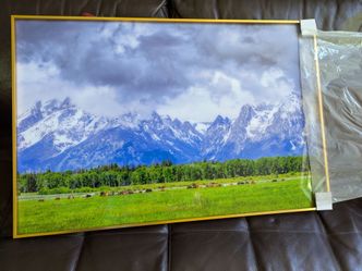 Framed picture