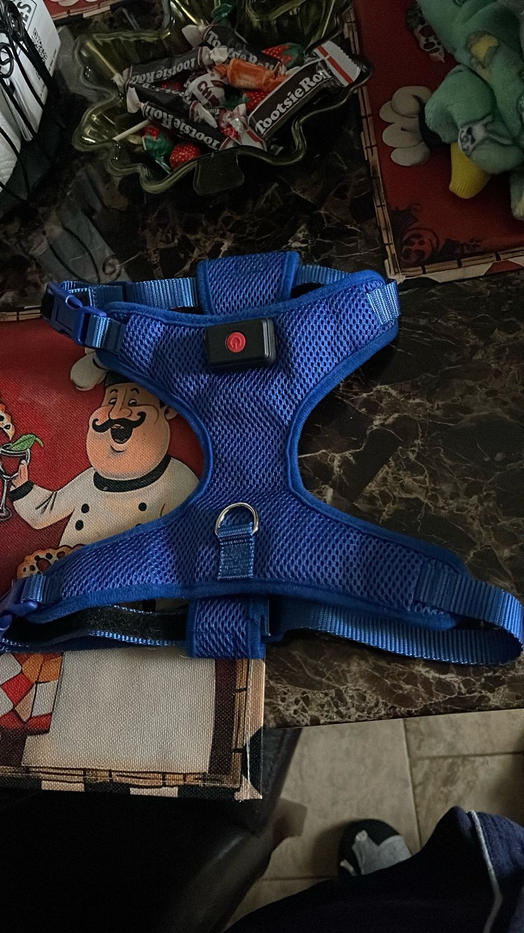 Large dog harness