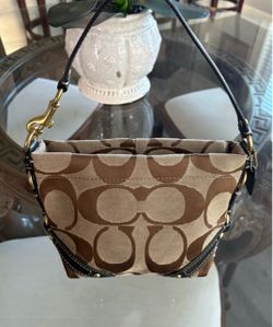 Coach Carly Small Brown Bag
