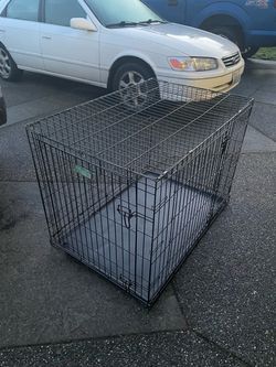Large dog kennel