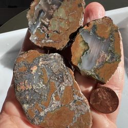 Priday Plume Agate Rough Parcel