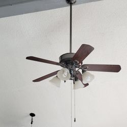 Several Ceiling Lights & Fans