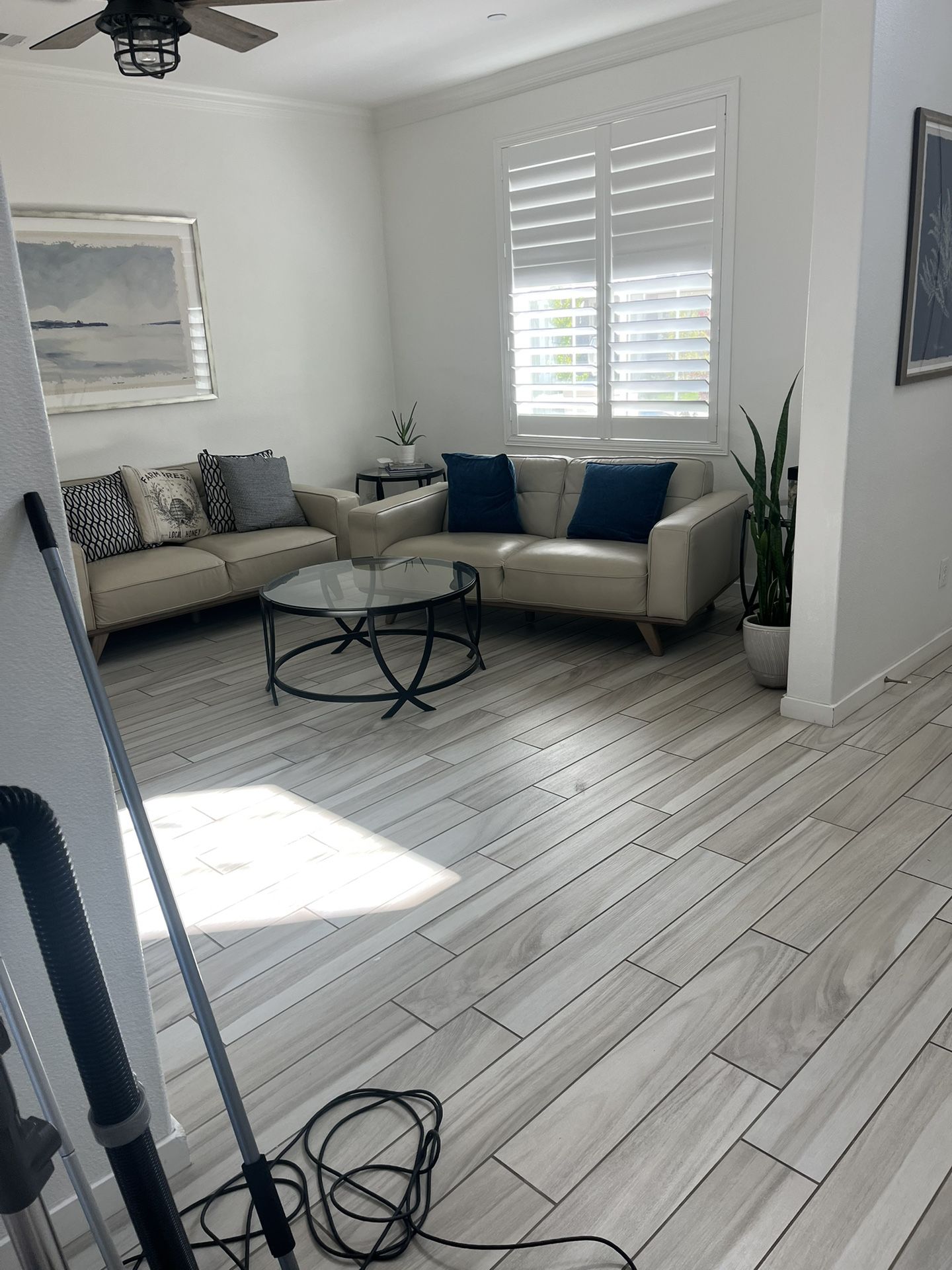 Cleaning House and Apartment