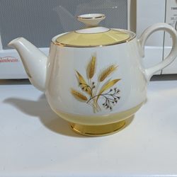 Vintage Teapot (RARE FIND)