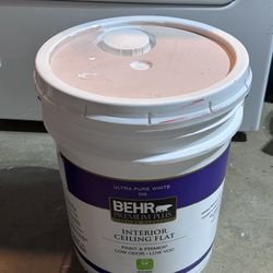 5 Gallon Behr Interior Paint Cream Pink / Rosa Crema Pastel (NOT WHITE)