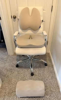 Office Chair Bundle (with FREE CHAIR)