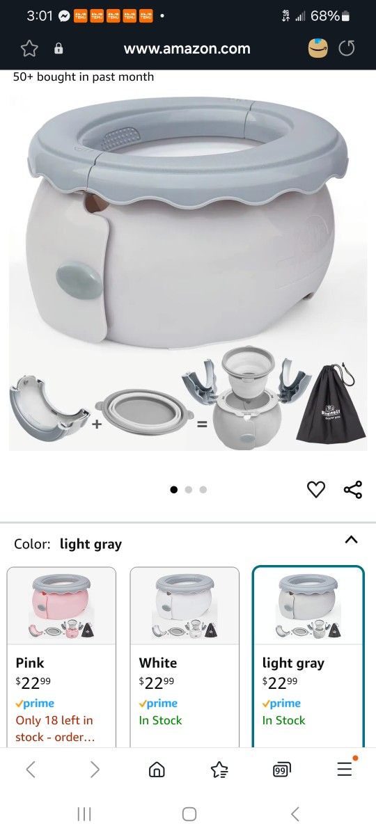 Travel Potty