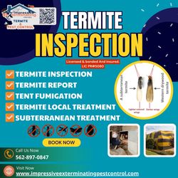 Termite Inspection gel For Termites 