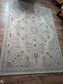5 x 7 area rug
